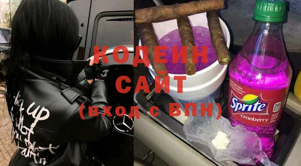 индика Алзамай