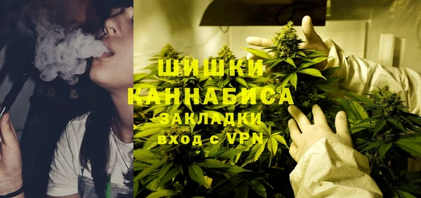 ГАЛЛЮЦИНОГЕННЫЕ ГРИБЫ Алексин