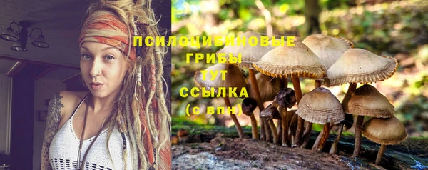 ПСИЛОЦИБИНОВЫЕ ГРИБЫ Алексеевка