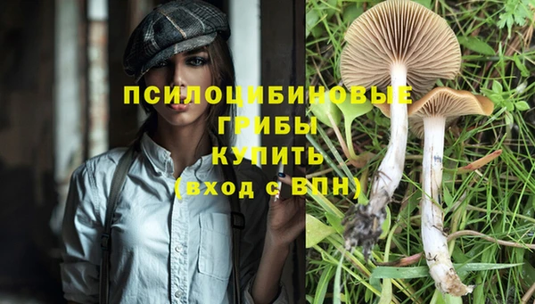 индика Алзамай