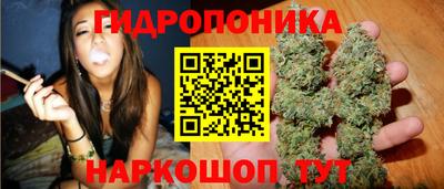 ECSTASY Заволжье